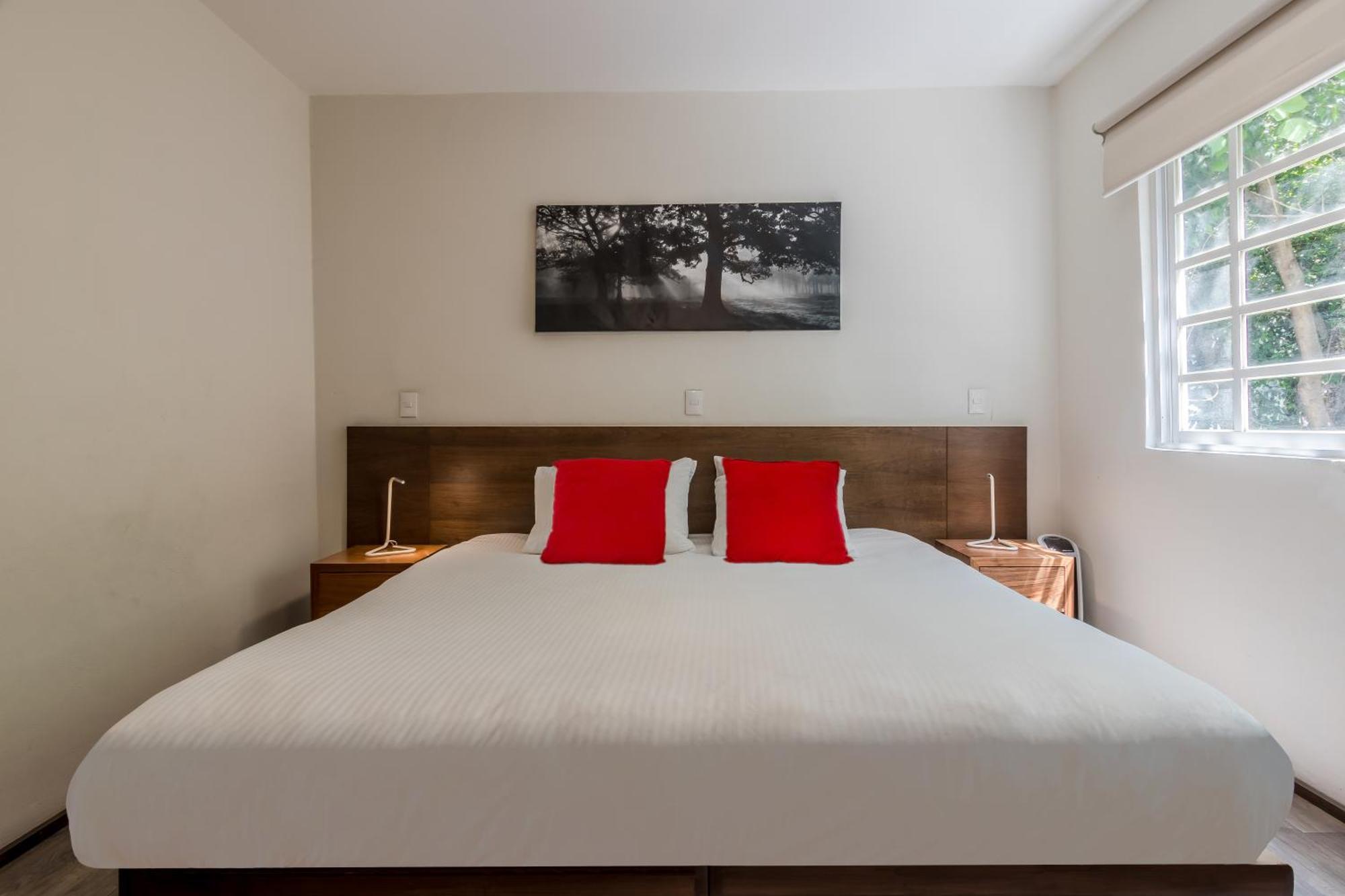 Om 686 Urban Lofts Narvarte メキシコシティ エクステリア 写真