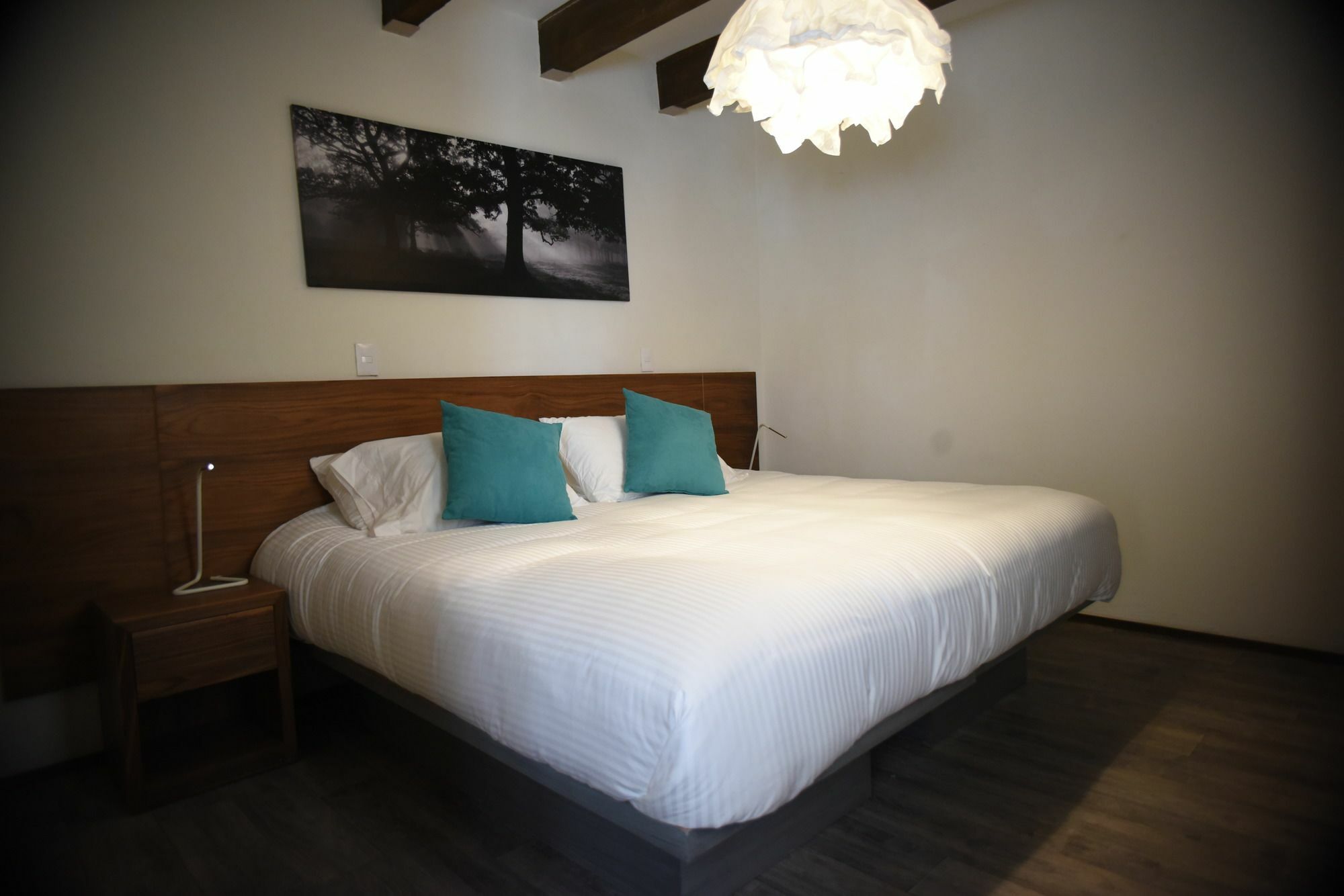 Om 686 Urban Lofts Narvarte メキシコシティ エクステリア 写真